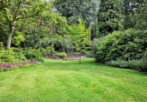 Optimiser l'expérience du jardin à Saint-Charles-de-Percy